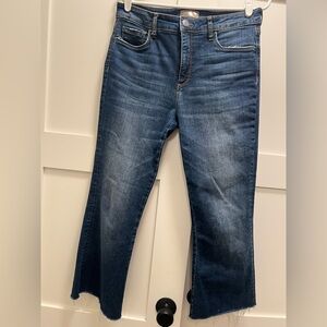 Kut from the Kloth Ana Fab Ab Flare High Rise